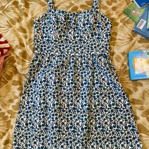 LOFT cupcake style blue floral dress